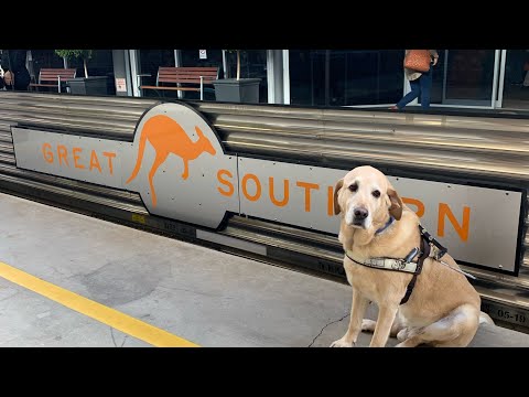 Great southern train adventure from a Guide Dogs perspective