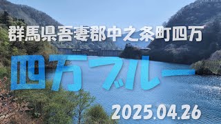 【VLOG】《四万ブルー》四万川をしゃくなげの滝(上流)から観光してきました  群馬県吾妻郡中之条町四万 2025.04.26