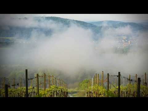 Imagetrailer Hösbach - Ein bevorzugter Ort zum Leben und Arbeiten