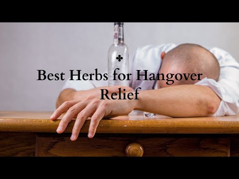 Discover the Secret Hangover Relief: Best Herbs Revealed