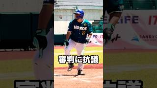 審判に死球アピールするも無視される打者 #shorts