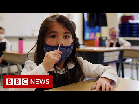 COVID-19和學校危機 - BBC新聞 (COVID-19 and the schools crisis - BBC News)