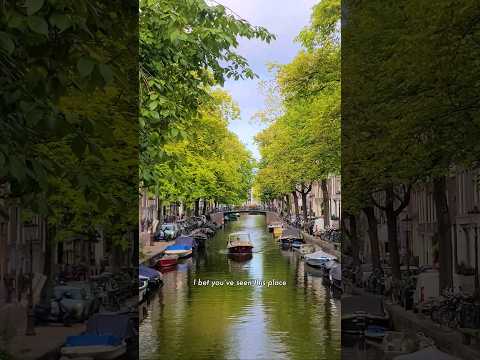 Here's how to make the most of your 1-day trip to Amsterdam without driving 🥹