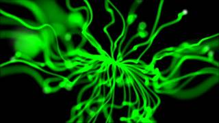 The Flaming Lips - It's Summertime