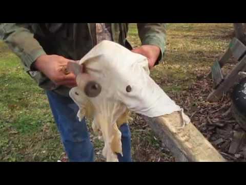TANNING DRESSING THE SKIN