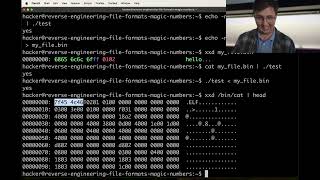 Reverse Engineering - CSE365 - Yan - 2024.11.06