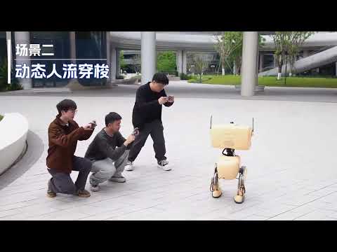 TP-01 Humanoid Robot Autonomous Walking Demo | CHRIC