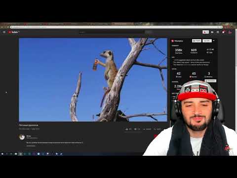 РАША ПАВЕР СМОТРИТ ПЯТНИЦА СУРИКАТОВ