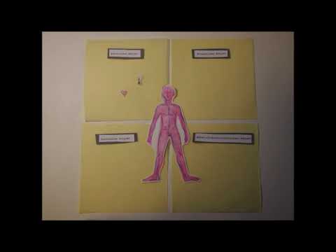 Integraler Methodologischer Pluralismus // Einführung in die Methoden der Kunstdidaktik