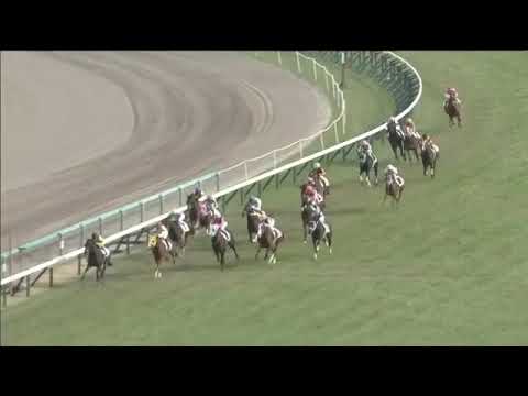 2018.12.16 2yo Newcomer (JPN) - Midnight Love