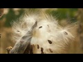 Pat Metheny (My song)    パット・メセニー（私の歌）