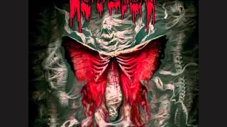 Autopsy - seven skulls