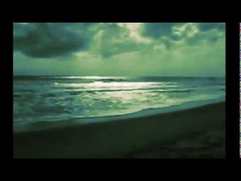 Psalms 91 and 103  of David