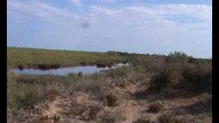 preview picture of video 'Göksu delta near Silifke (Mersin)'