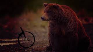 Alexandre Poulin - Trois Couleurs Primaires (COVER by JP)