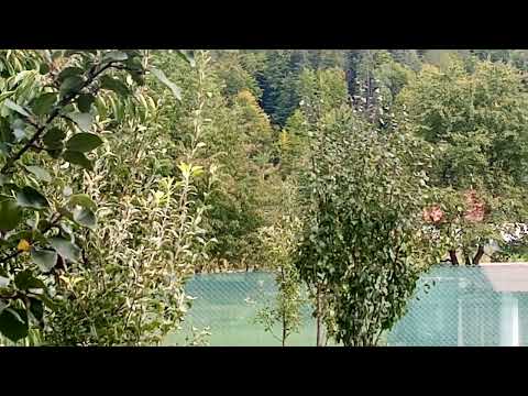 H475 trece prin Putna cu Trenul R5626 Putna-Suceava 24.09.2022