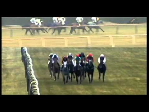 29.03.2013 Bremen 3.Rennen  Preis der BV - Altersgewichtsr. (D)  2.100 m