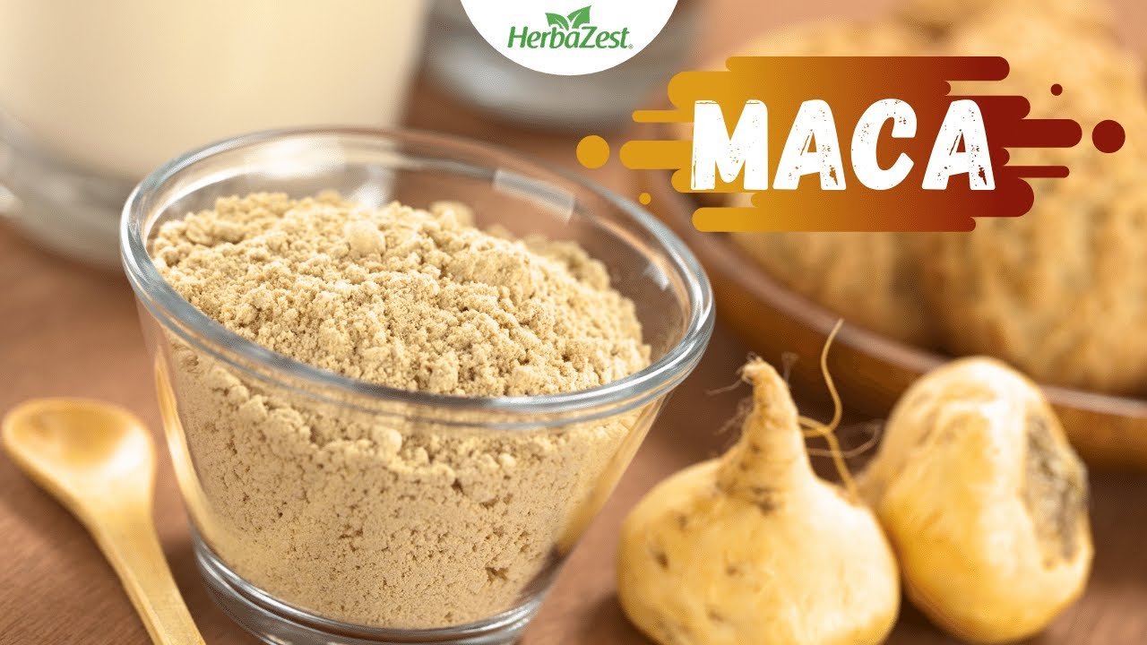 Maca - Herbazest