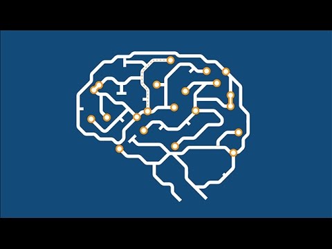 Lighting Up The Brain With Optogenetics