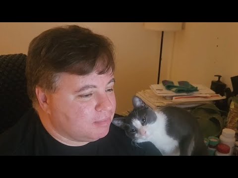 집사에게 앵겨서 딥키스 갈기는 고양이