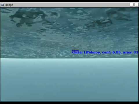 Lifebuoy Underwater Detection Video