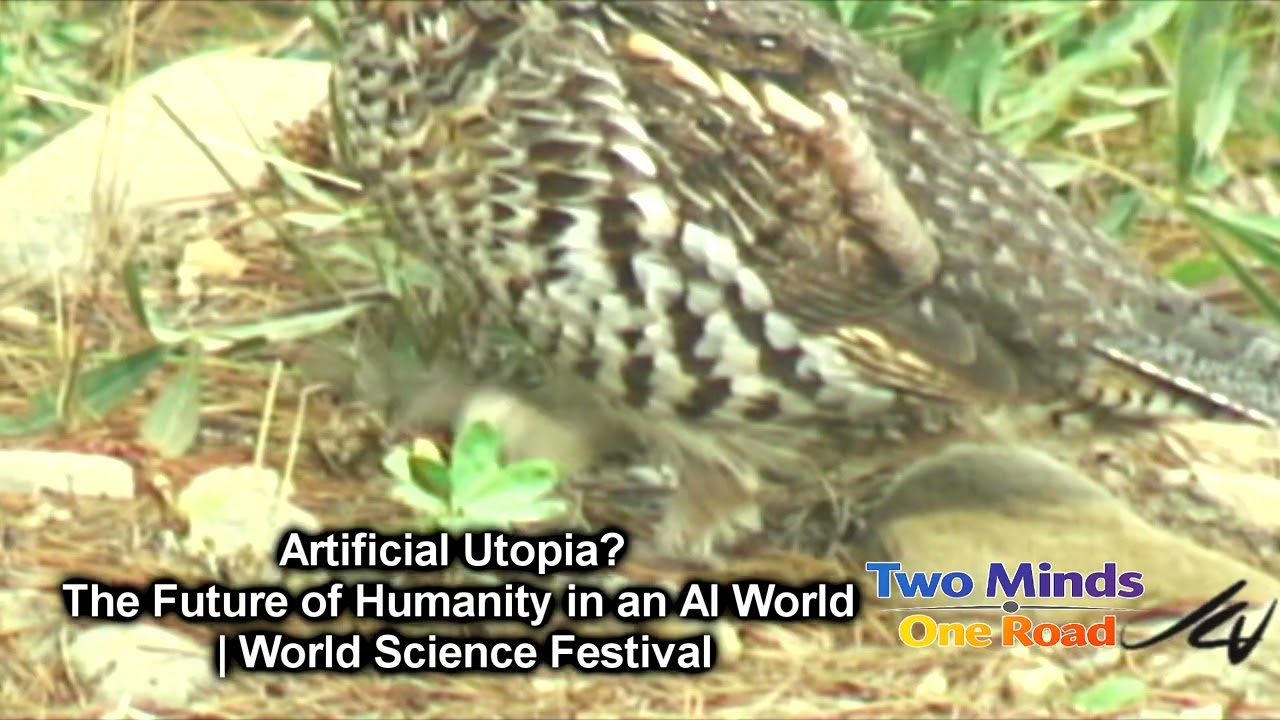 We Are Watching the Future Form | Human + AI Creation in Real Time (Full Documentary)