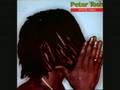 Peter Tosh - Jah Seh No