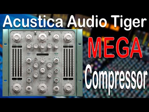 Acustica Audio Tiger Compressor. The BEST Compressor for mixing and mastering?