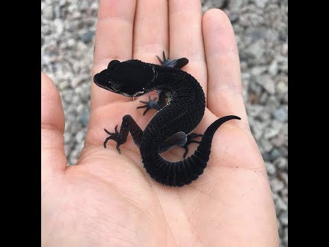 Металлопоиск. Случаи из жизни. -За металлом Vol.1 metal search