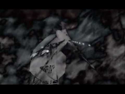 The Magnetic North - Hi Life