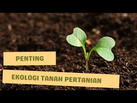, title : 'Penting! Memahami Konsep Ekologi Tanah Pertanian'