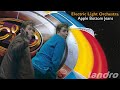 Electric Light Orchestra - Apple Bottom Jeans (Mr. Blue Sky)