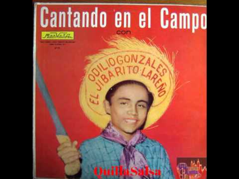 Amor A La Ligera - Odilio Gonzalez (Audio)