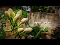 ஜாதி பூவை Sokkanukku Vaacha Kaaval Geetham Hear With Heart