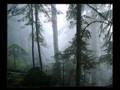 Blind Guardian - The Bard's Song - In the forest ...