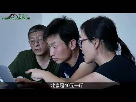 GRX company Interview