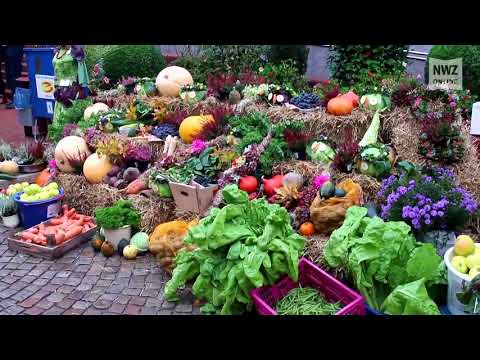Herbstmarkt in Brake