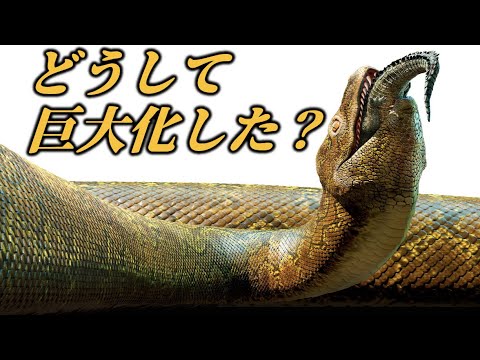 「古代の蛇」の化石はウミイグアナ