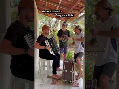 No chililique do forró no sertão do nordeste #nordestelindo #sanfona #shorts  #nordeste