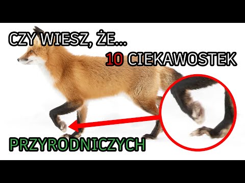 10 ciekawostek przyrodniczych. Czy wiesz że?... Część.2