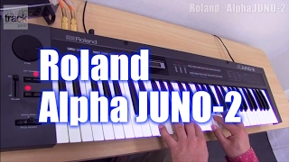 Video thumbnail for ROLAND Alpha JUNO-2 Demo & Review [English Captions] by musictrackjp