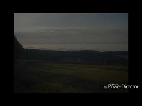 Titanium- David Guetta | Cover by Tanja Kreutmayer