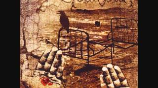 Forest Stream - Last Season Purity