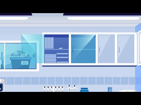 Lab Bench Organization Tips & Tricks
