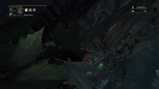 Stupid troll In Bloodborne PvP 2025