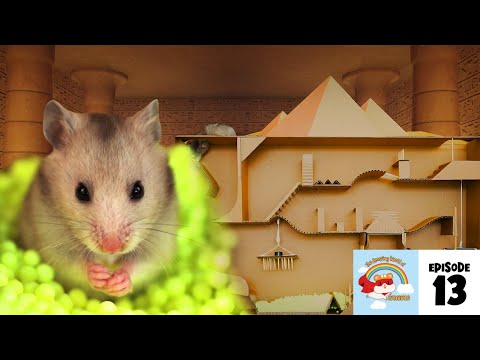 TRAVEL To The Ancient Egypt✈️✈️✈️ -  It's Traveling TIMEEEE HAMSTER MAZE🏺🏺🏺 - Ham-Ham Battle ep.13🐹