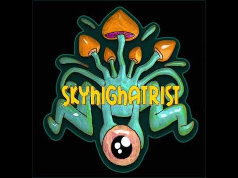 Skyhighatrist vs Synthetic Chaos - Insane Line (Unreleased)