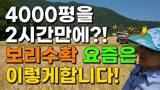 4000평을 2시간만에?? 보리수확 요즘은 이렇게 합니다 보리농사 보리재배 늘보리 겉보리