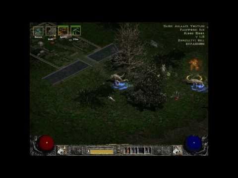 Diablo II 1.13 - Funny PvP Druid Fury/Rabies Build