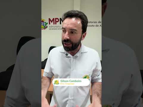 Rede de Enfrentamento à Violência Contra a Mulher